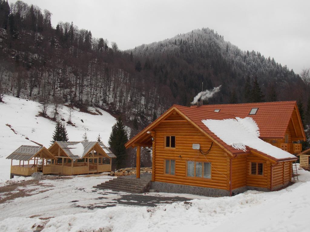 Pensiunea Izbucul Tauz Ghetari Exterior foto